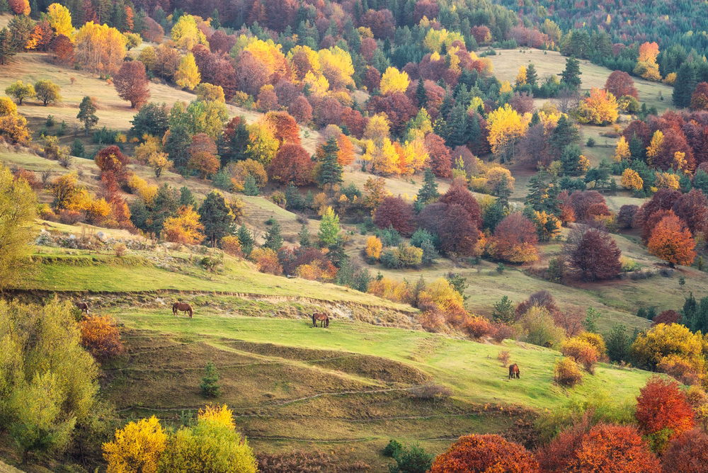 Greatest Hikes In Bulgaria: 16 Bulgaria Mountaineering Spots 